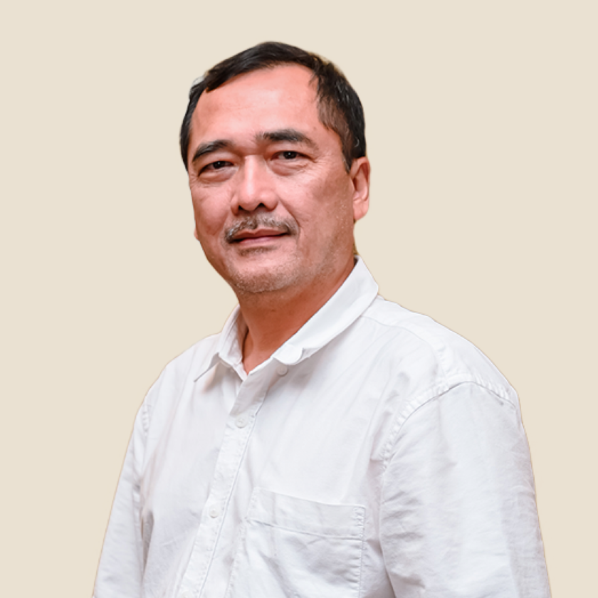 Ir. Dhandik S